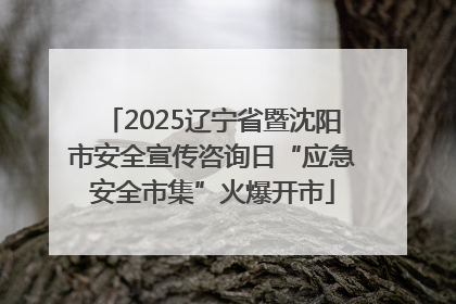 2025辽宁省暨沈阳市安全宣传咨询日“应急安全市集”火爆开市
