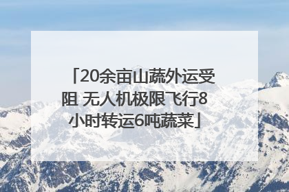 20余亩山蔬外运受阻 无人机极限飞行8小时转运6吨蔬菜
