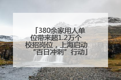 380余家用人单位带来超1.2万个校招岗位，上海启动“百日冲刺”行动