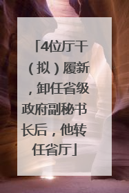 4位厅干（拟）履新，卸任省级政府副秘书长后，他转任省厅