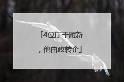 4位厅干履新，他由政转企