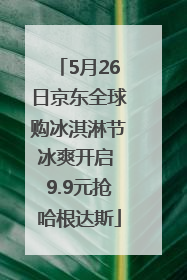 5月26日京东全球购冰淇淋节冰爽开启 9.9元抢哈根达斯