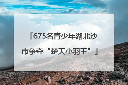 675名青少年湖北沙市争夺“楚天小羽王”