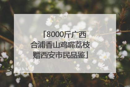 8000斤广西合浦香山鸡嘴荔枝赠西安市民品鉴